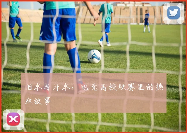 泪水与汗水，电竞高校联赛里的热血故事
